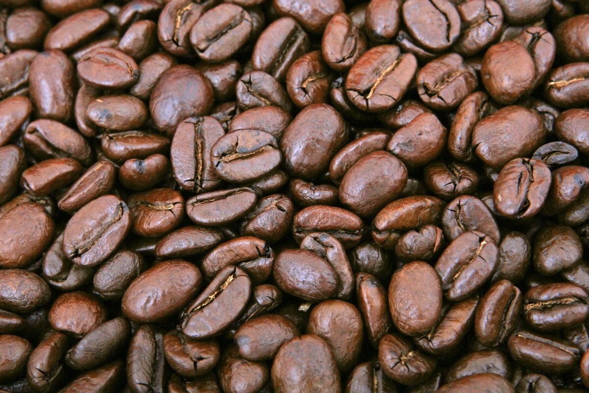 El grano del café tipos, variedades, términos y cómo