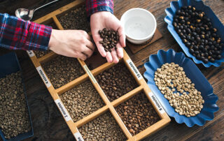 como valorar una taza de café