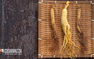 Propiedades del ginseng